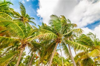Guadeloupe vejrudsigt