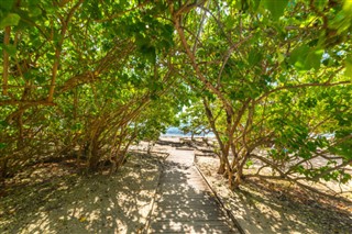 Guadeloupe hava tahmini