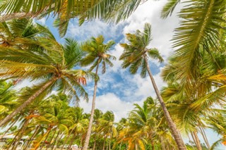 Guadeloupe vejrudsigt