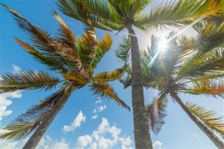 Guadeloupe hava tahmini