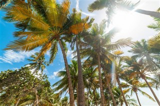 Guadeloupe hava tahmini