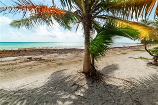 Guadeloupe vejrudsigt
