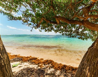 Guadeloupe prévisions météorologiques