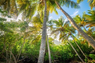 Guadeloupe prévisions météorologiques