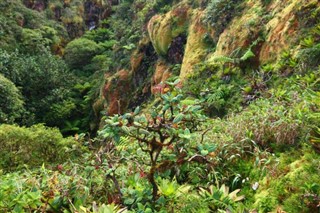 Guadeloupe vejrudsigt