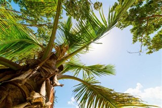 Guadeloupe vejrudsigt