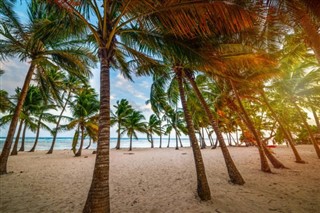 Guadeloupe prévisions météorologiques