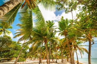 Guadeloupe vejrudsigt