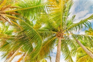 Guadeloupe weersvoorspelling