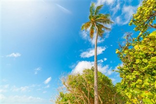 Guadeloupe hava tahmini