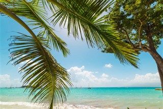 Guadeloupe Vremenska prognoza