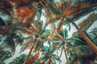 Guadeloupe időjárás-jelentés