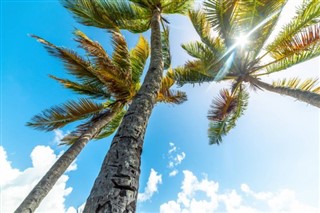 Guadeloupe hava tahmini
