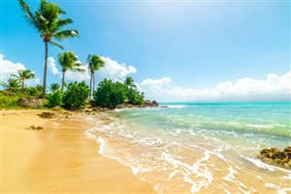 Guadeloupe hava tahmini