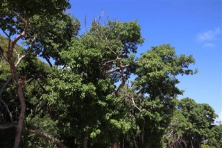 Guadeloupe předpověď počasí