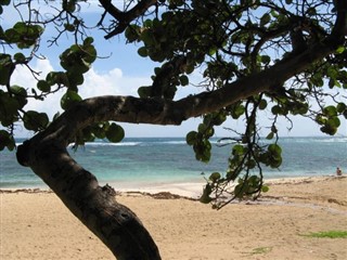 Guadeloupe hava tahmini