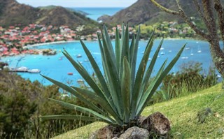 Guadeloupe hava tahmini