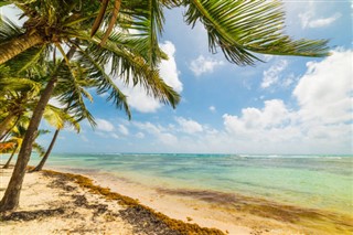 Guadeloupe prévisions météorologiques