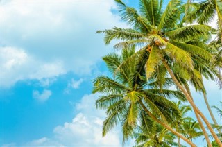Guadeloupe hava tahmini