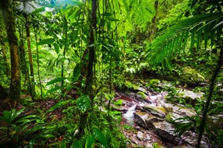 Guadeloupe předpověď počasí