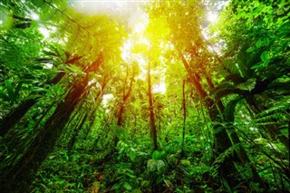 Guadeloupe Hava tahmini