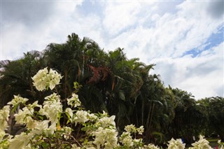 Guam hava tahmini