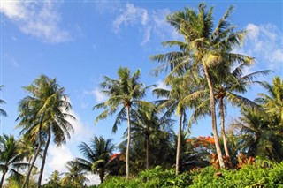 Guam hava tahmini