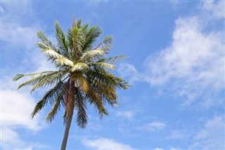 Guam hava tahmini