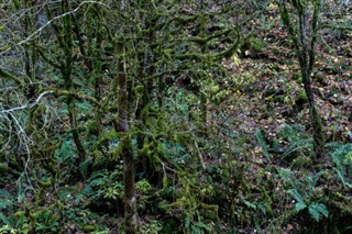 Guam időjárás-jelentés