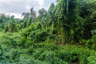 Guatemala hava tahmini