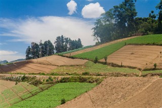 Guatemala hava tahmini
