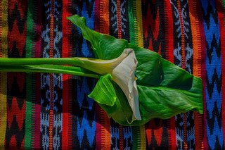 Guatemala hava tahmini