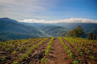 Guatemala hava tahmini