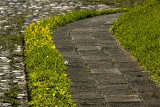 Guatemala Hava tahmini