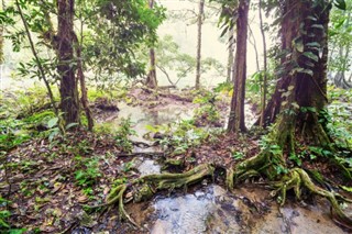 Guatemala hava tahmini
