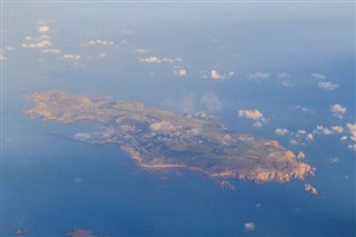 bir tür inek hava tahmini
