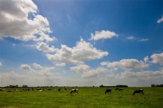 Guernsey-sziget időjárás-jelentés
