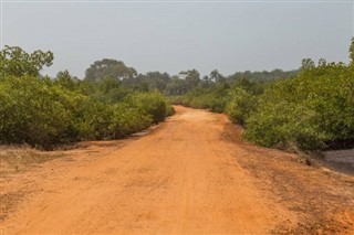 Gine-Bissau hava tahmini