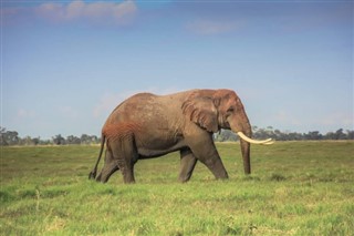 Guinea-Bissau vejrudsigt