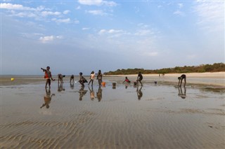 Gine-Bissau hava tahmini