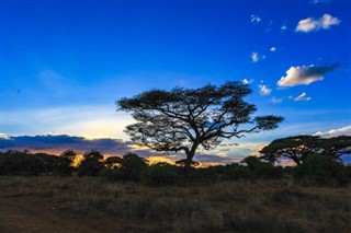 Gine-Bissau hava tahmini
