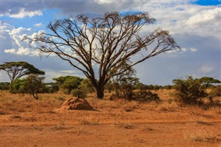 Gine-Bissau hava tahmini