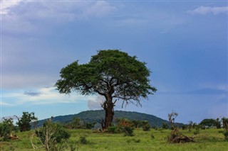 Gine-Bissau Hava tahmini
