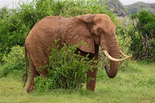 Guinea-Bissau vejrudsigt