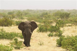 Guinea-Bissau vejrudsigt