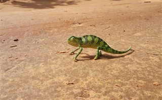 Gine-Bissau hava tahmini