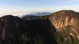 Guyana vejrudsigt