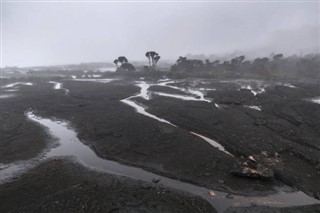 Guyana hava tahmini