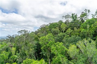Guyane prévisions météorologiques