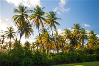 Guyana hava tahmini